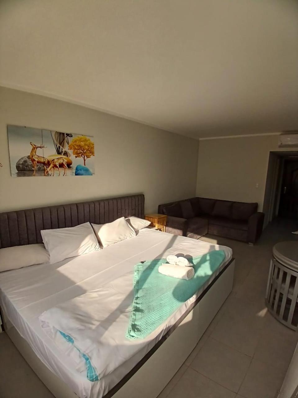 Apartament Scandic
