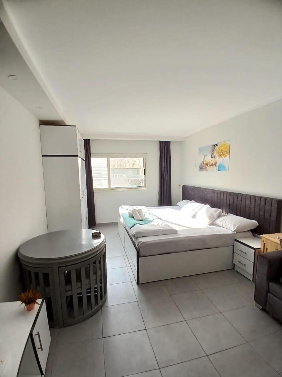Apartament Scandic *