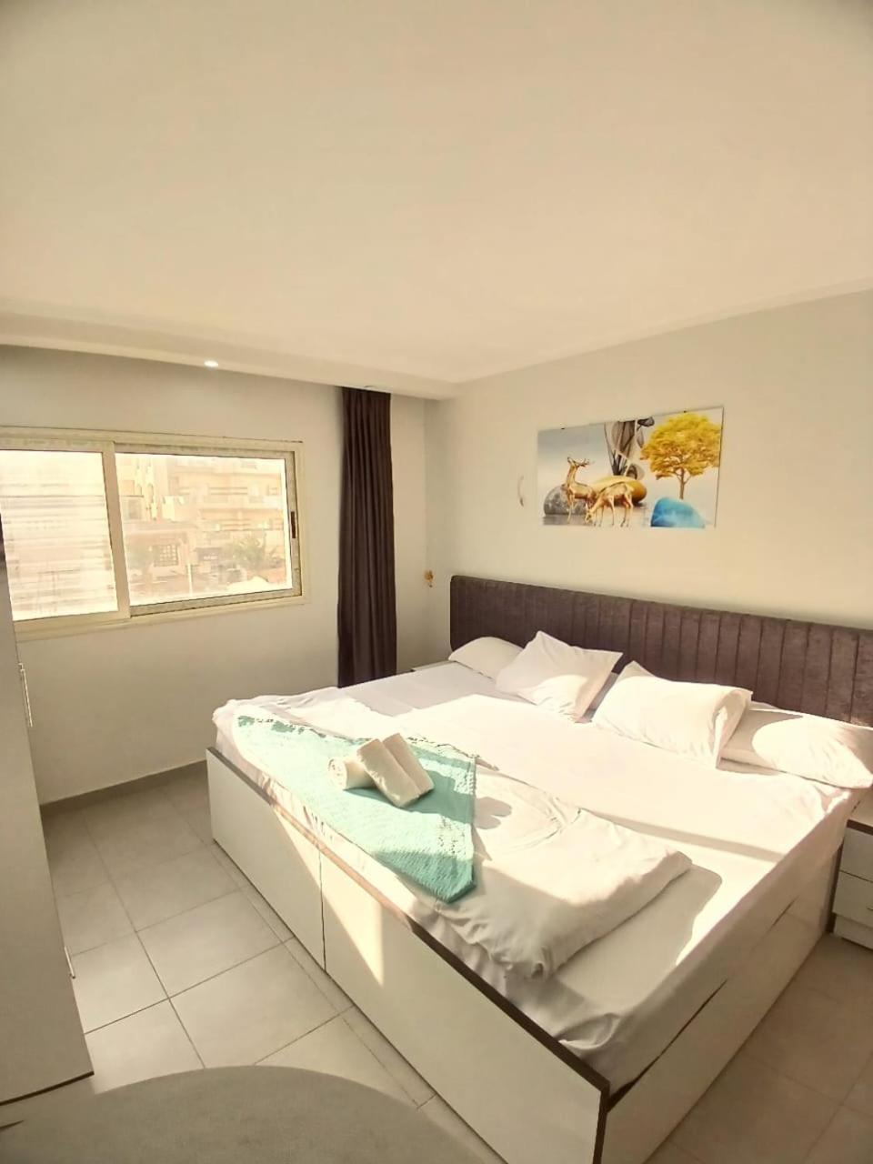Scandic Hurghada